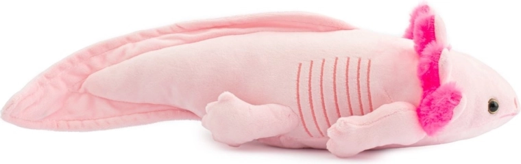 Cuki dizájn, amely fejleszti a fantáziát