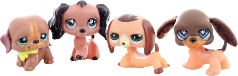 Aranyos állatka készen a gondozásra