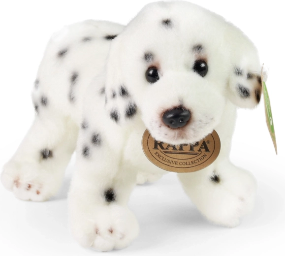 Plüss dalmata 20 cm, környezetbarát