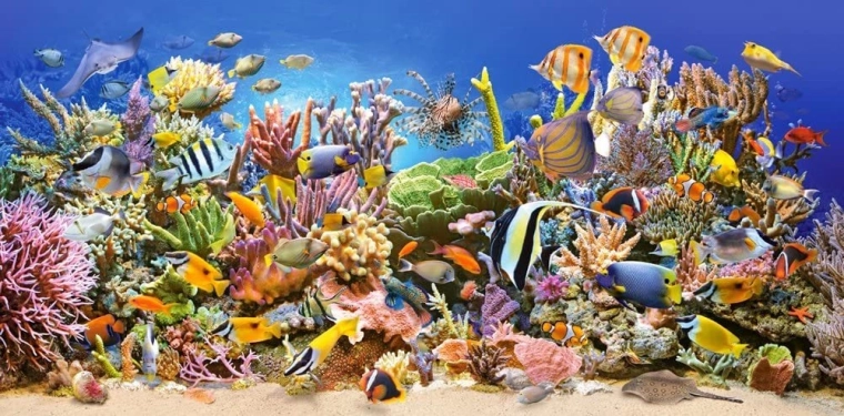 CASTORLAND panoráma puzzle víz alatti élet 4000 darab
