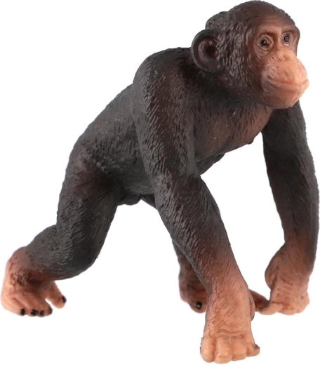 Kompakt 8 cm-es méret