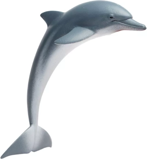 Delfin Safari Ltd. – 1 db