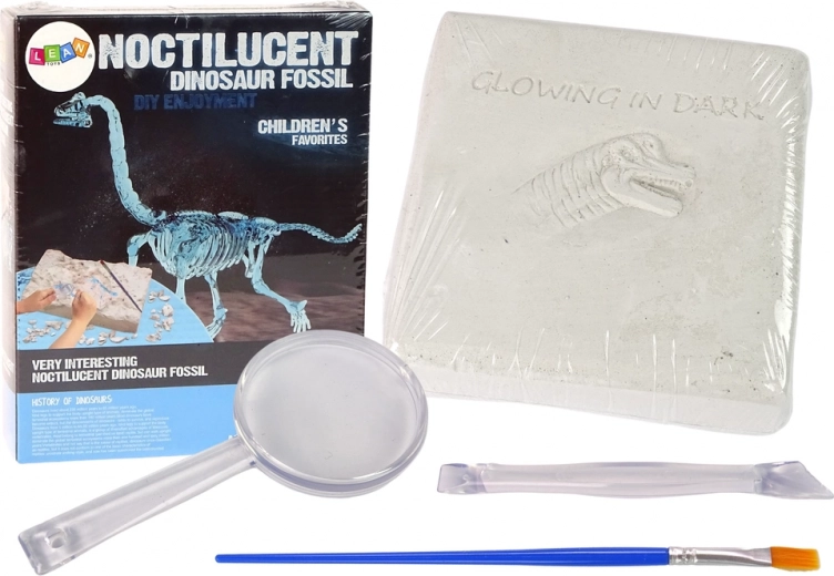 Archeológiai készlet dinoszaurusz ásatás 3D csontváz Brachiosaurus
