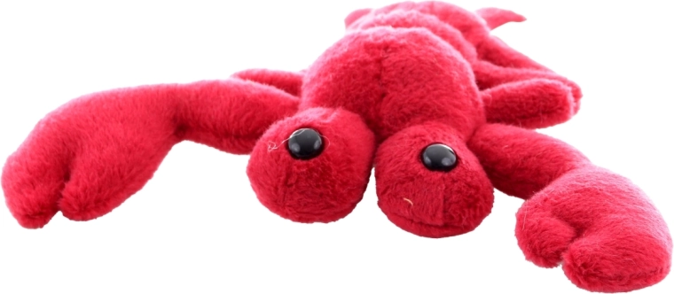 Cuki részletek és valósághű megjelenés