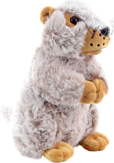 Ideális méret a kis kezekhez