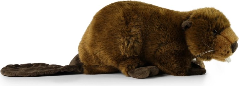 Biztonságos és már újszülött kortól alkalmas