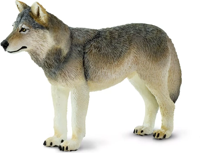 Safari Ltd. szürke farkas figura – 1 db