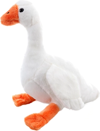 Könnyű és helytakarékos