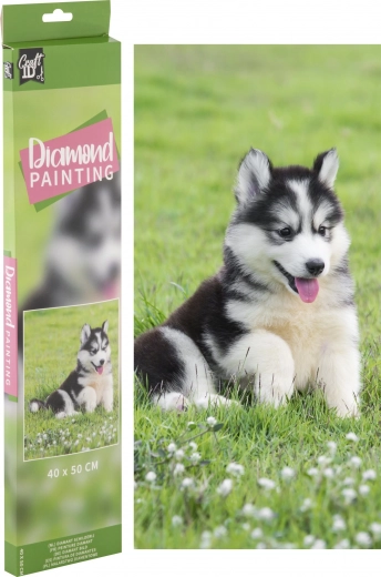Gyémántszemes festés Husky 40 × 50 cm
