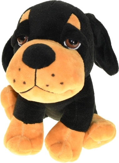 Több színváltozat