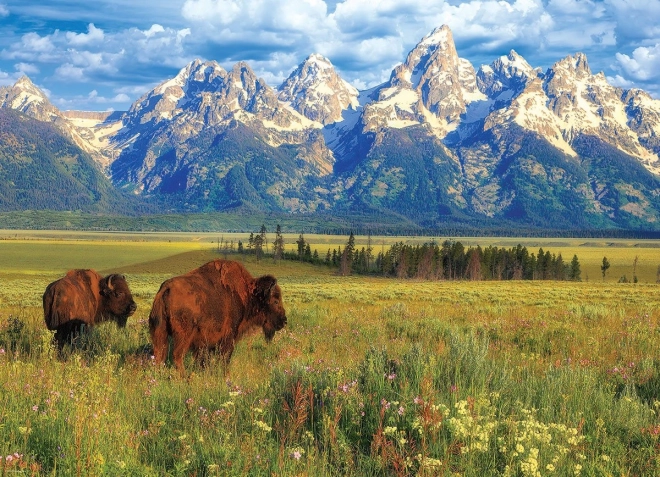 Puzzle gyönyörű Grand Teton Nemzeti Park 1000 darab
