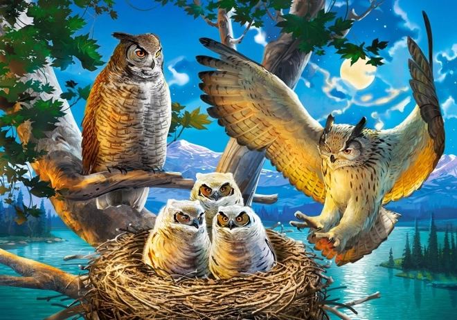 500 darabos puzzle - Bagoly család