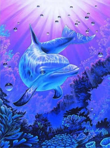 Norimpex Delfines festés számok szerint, 40 × 50 cm