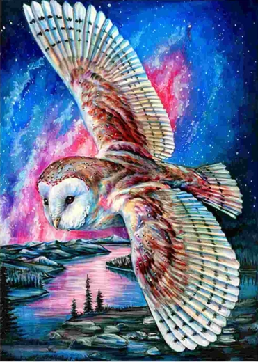 Norimpex gyémántkirakó Repülő bagoly 30 × 40 cm