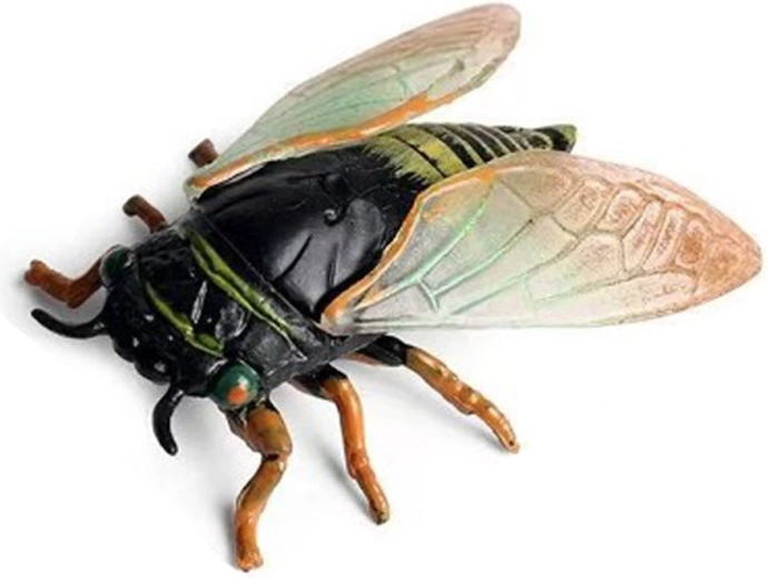 Kabóca 6 cm