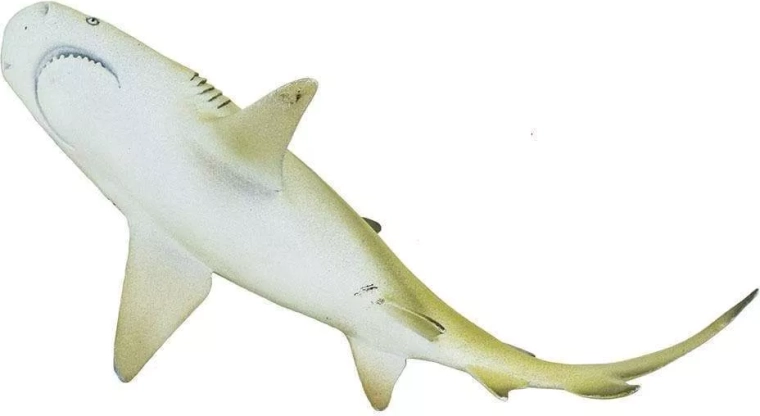 3 éves kortól ajánlott