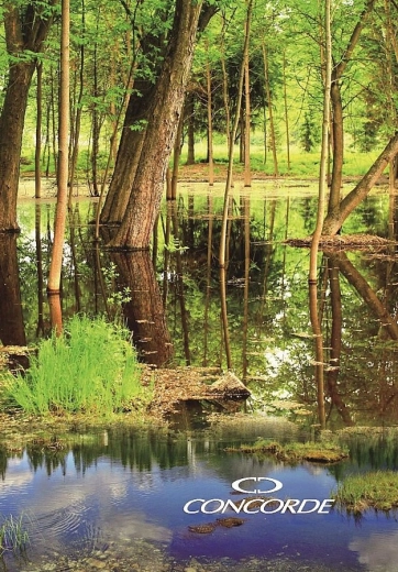 A4-es jegyzetfüzet 8 mm-es vonalazással, 200 lap