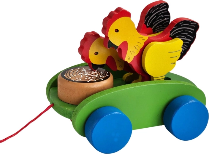 Pöttyös tyúkok mozgásban