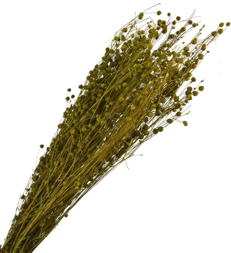 Szárított dekoratív zöld fű 40–70 cm