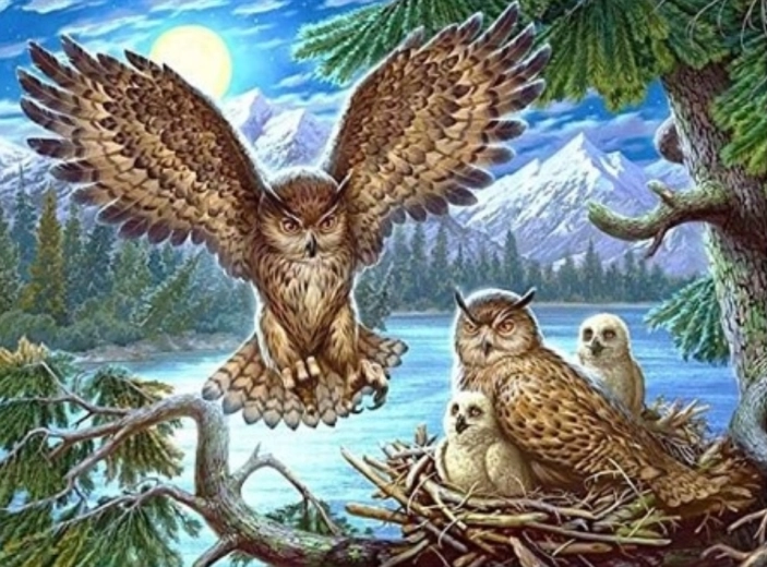 Gyémántfestés Bagolyfészek 30 × 40 cm