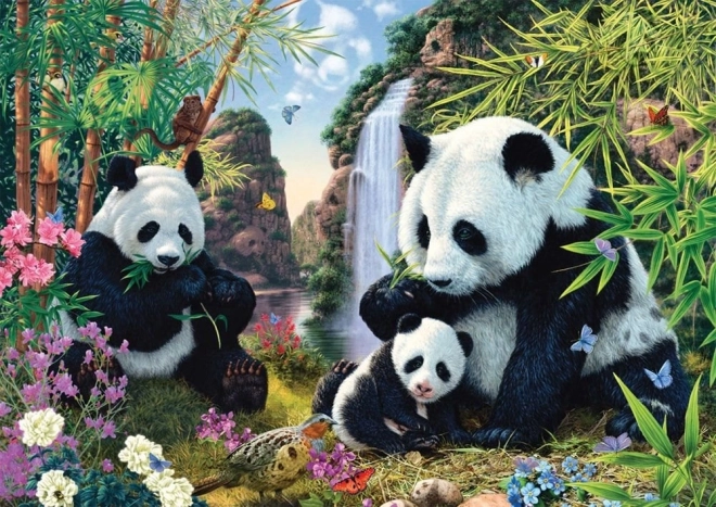 Schmidt 500 darabos pandás puzzle a vízesésnél