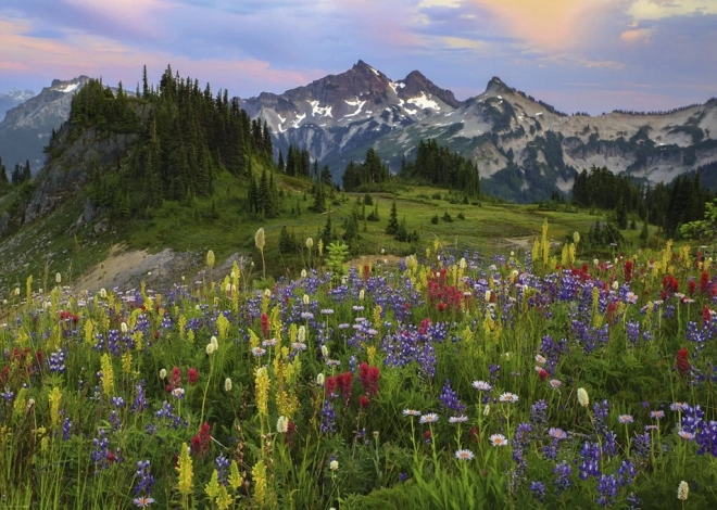 Puzzle 2000 darabos - Tatoosh-hegység