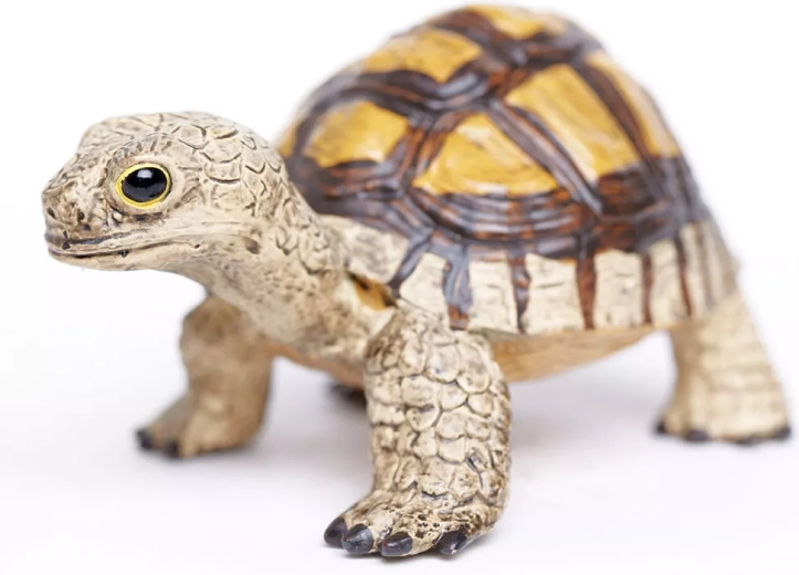 Játékos tanulás a Safari Ltd. márkával