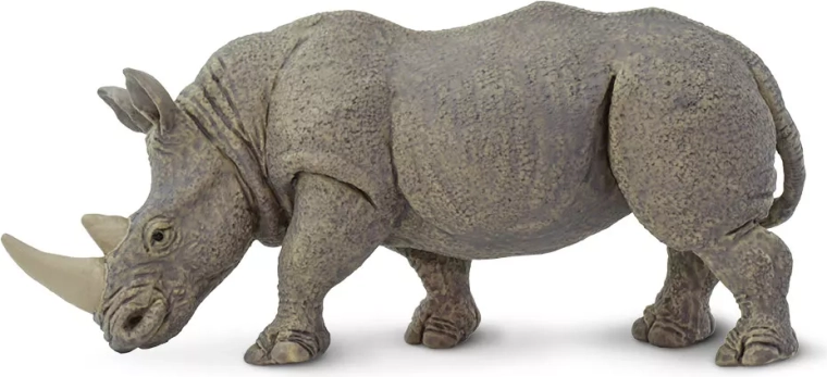Szélesszájú orrszarvú (Safari Ltd.)