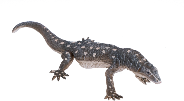 Realisztikus Komodói varánusz figura