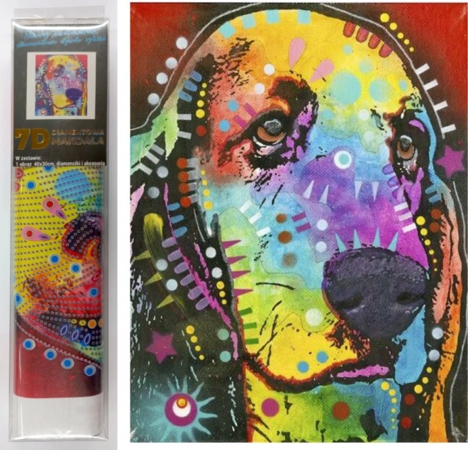 7D gyémántfestés – kutyatekintet 30 × 40 cm