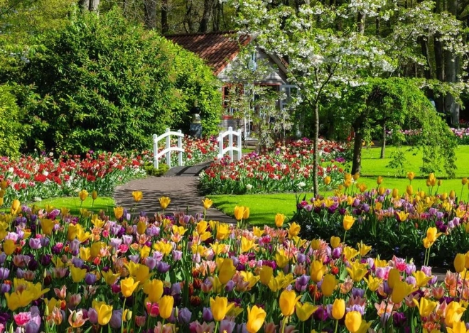 RAVENSBURGER 1000 darabos puzzle – Gyönyörű Keukenhof kertek, Hollandia