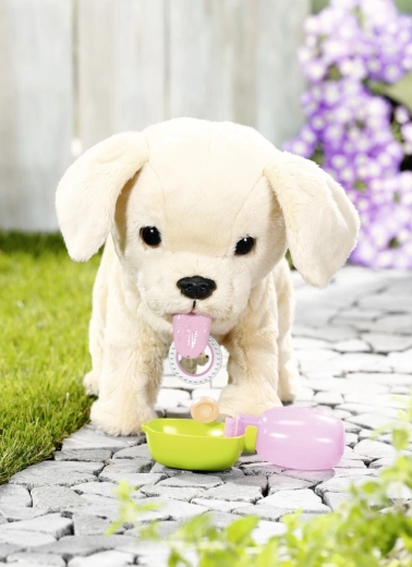 Gondozás, etetés és itatás