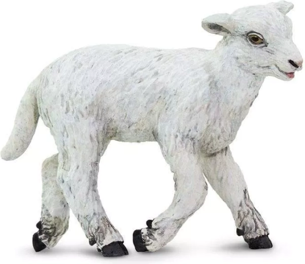Safari Ltd. házi juh figura – 1 db