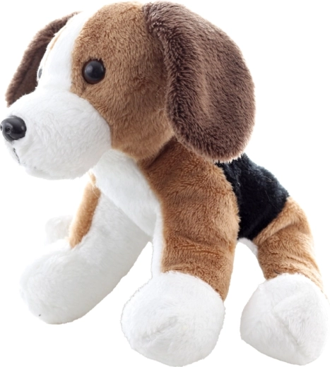 A beagle bájos részletei