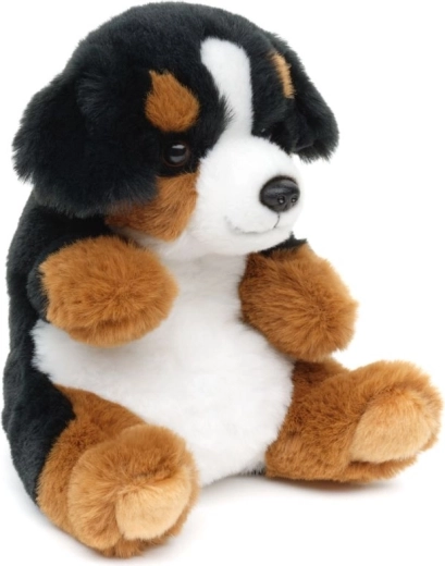 Biztonságos újszülöttkortól