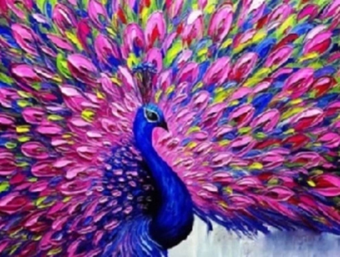 Norimpex Festés számok szerint rózsaszín farkú pávával 40 × 50 cm