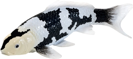 Mojo koi ponty figura – shiro utsuri