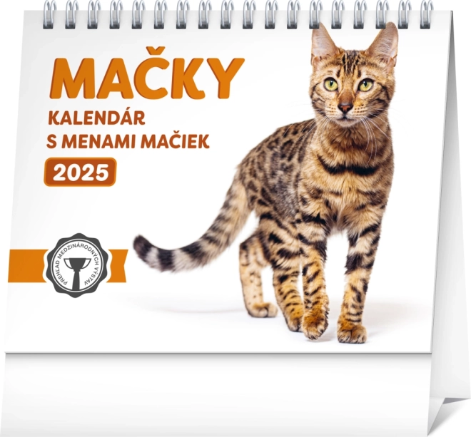 Asztali naptár Macskák nevekkel 2025