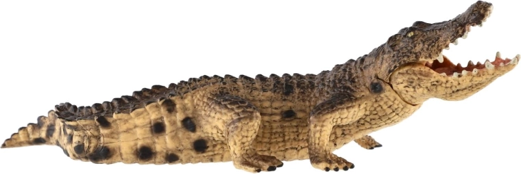 Valósághű kidolgozás