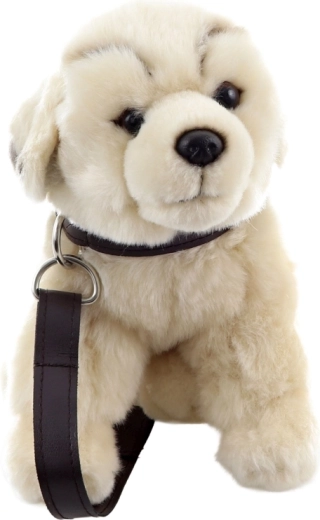 Sétáltatós játék gallérnak és póráznak köszönhetően