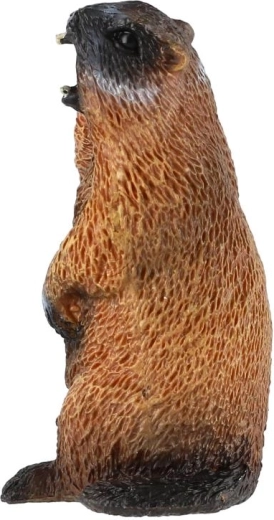 Kompakt méret