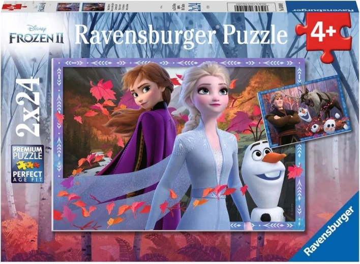 Puzzle 2x24 darabos Jégvarázs 2