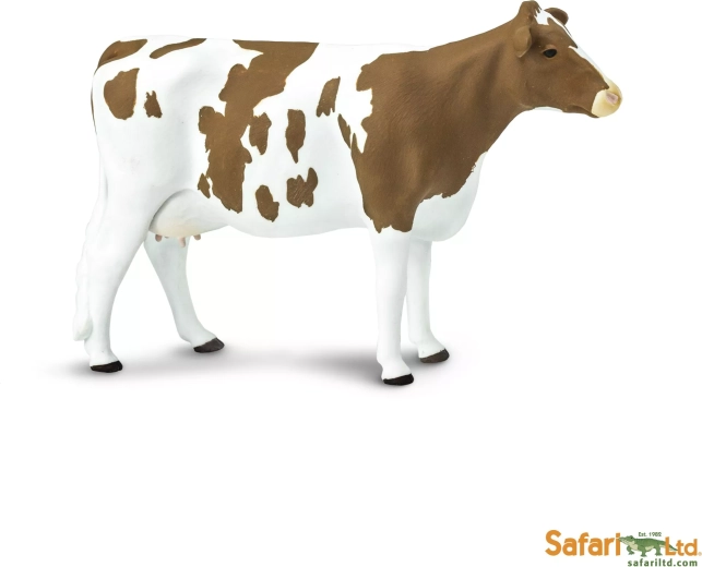 Safari Ltd. ayrshire-i szarvasmarha