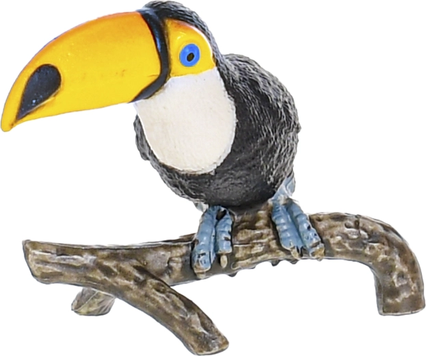 Változatos egzotikus állatkollekció