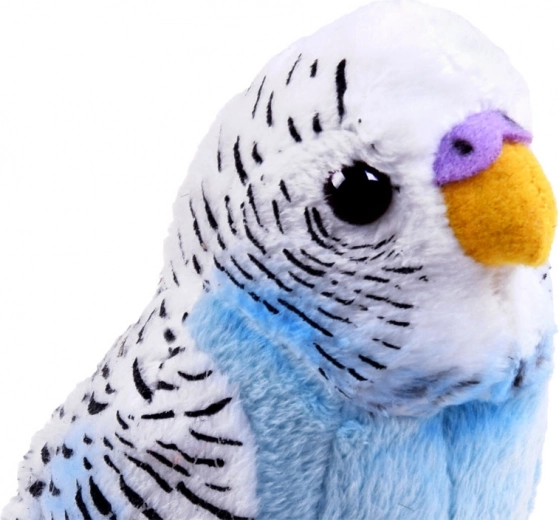 Pihe-puha és selymes anyag