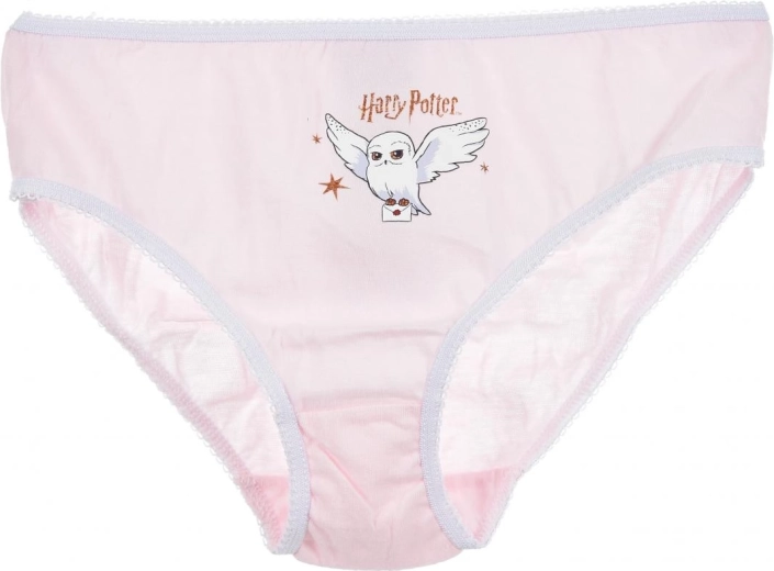 Licencelt Harry Potter minta