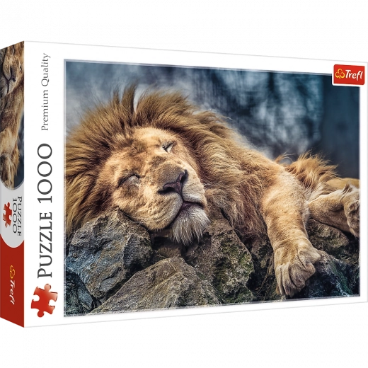 Puzzle 1000 darabos Alvó oroszlán
