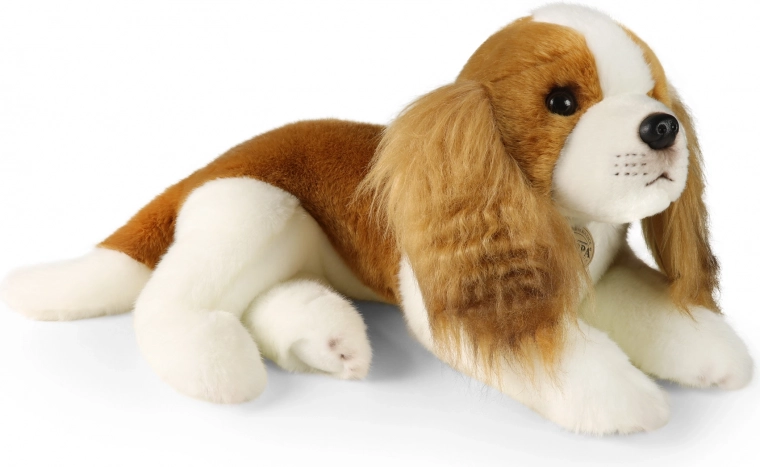 Plüss kutya Cavalier King Charles Spániel 40 cm RAPPA-tól