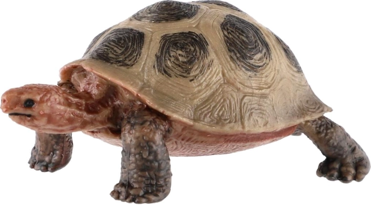 A teknős élethű megjelenése