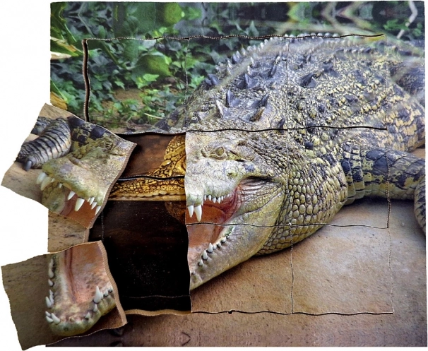 Fa réteges puzzle Krokodil - Életciklus